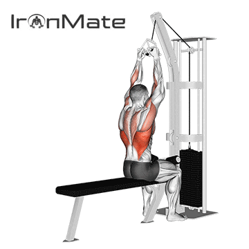 Нейтральный хват Lat Pull Down Нейтральный хват Lat Pull Down