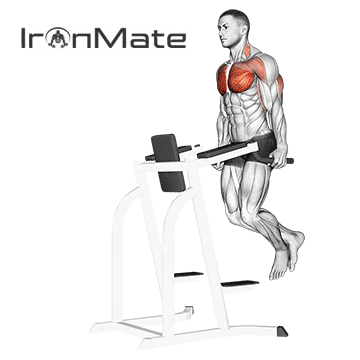 Отжимания на брусьях