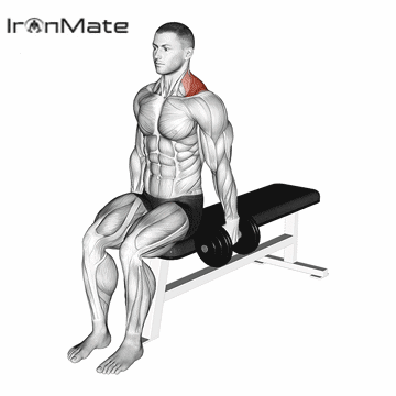 Шраги Гиттлсона