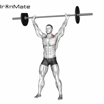 Шраги со штангой над головой