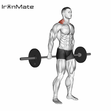 Шраги со штангой за спиной