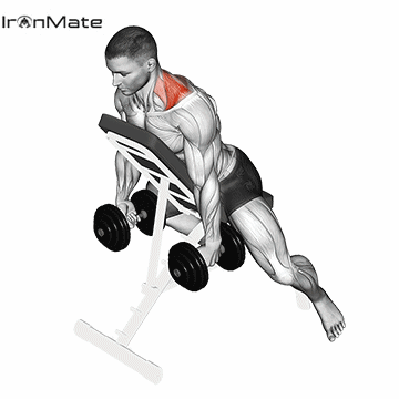 Шраги на наклонной скамье лёжа