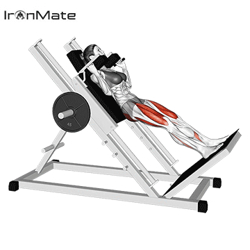 Приседания в hack-тренажере