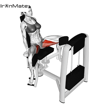 Сведение бедер в тренажере