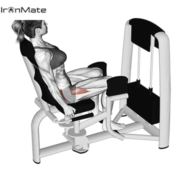 Разведения ног в тренажере