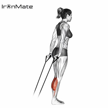 Подъём на носки с эспандером