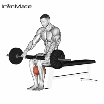 Подъём на носки сидя со штангой