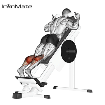 Подъёмы на носки в гакке