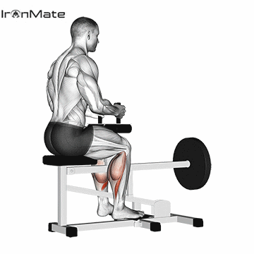 Подъем на носки сидя в тренажере