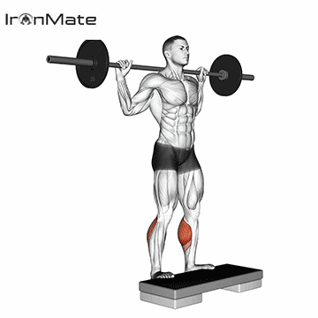 Подъём на носки со штангой стоя