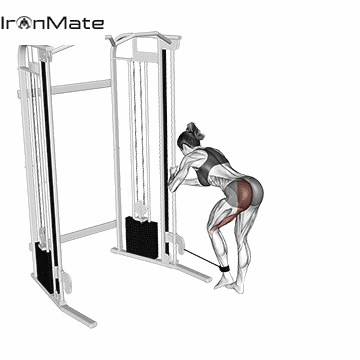 Лягания на нижнем блоке