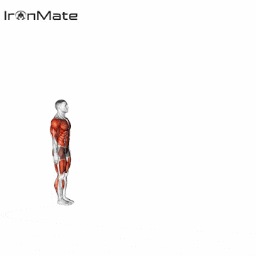 Берпи с прыжком в длину