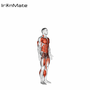 Берпи с отжиманием