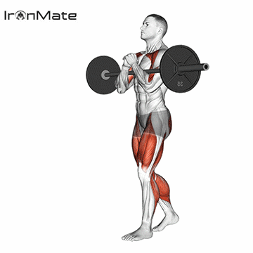 Переноска Зерчера