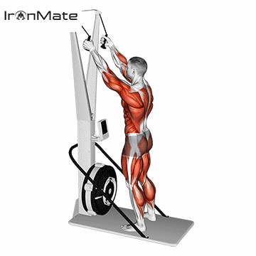 Ски-эргометр