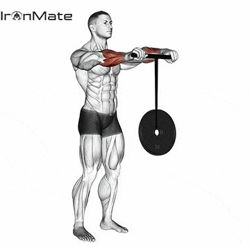 Вращение запястья с роллером