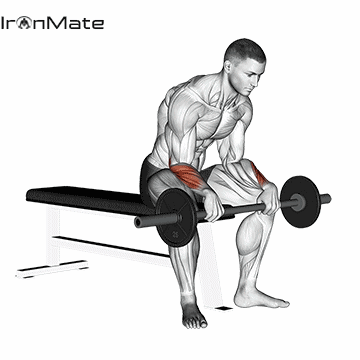 Обратное сгибание запястий со штангой